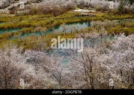 Shuzheng See in Jiuzhaigou, Berge und Bäume von Schnee bedeckt. Der Park wird als UNESCO-Weltkulturerbe. Stockfoto