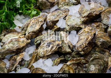 Frische, rohe, pazifische Austern, crassostrea Gigas, auf einem Eisbett in einem britischen Lebensmittelmarkt Stockfoto