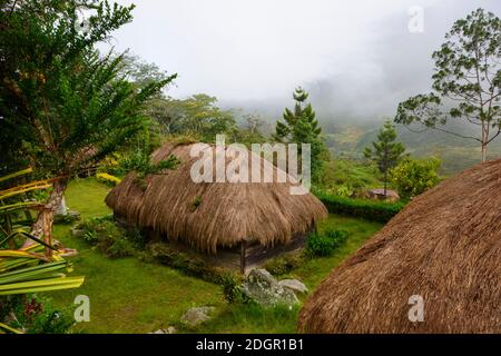 Nebliger Morgen im Baliemtal. Central Highlands, West Papua, Indonesien Stockfoto