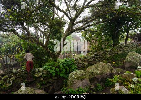 Nebliger Morgen im Baliemtal. Central Highlands, West Papua, Indonesien Stockfoto