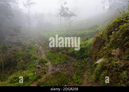 Nebliger Morgen im Baliemtal. Central Highlands, West Papua, Indonesien Stockfoto