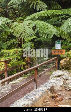 Holzschild an heißen Quellen in Caldeira Velha, Sao Miguel Island, Azoren, Portugal Stockfoto