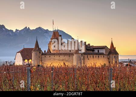 Das Chateau d'Aigle ist ein Juwel mittelalterlicher Architektur und liegt inmitten weltberühmter Weinberge, die den Eingang zum Rhonetal an der Grenze zwischen Kanton bewachen Stockfoto