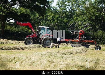 Ein einäugler Bauer mit seinem Hund auf einem Feld arbeiten Auf seinem Traktor und Anhänger Stockfoto