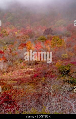 Herbst in den Appalachischen Bergen entlang des Blue Ridge Parkwa Stockfoto