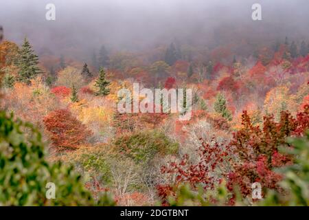 Herbst in den Appalachischen Bergen entlang des Blue Ridge Parkwa Stockfoto