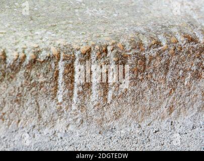 Keltische Ogham-Schrift auf den Maglocunus-Stein geschnitzt, St. Brynach's Church in Nevern, Pembrokeshire, Wales, Großbritannien Stockfoto