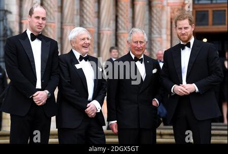 Der Duke of Cambridge, Sir David Attenborough, der Prince of Wales und der Duke of Sussex nahmen an der Weltpremiere von Netflix's Our Planet Teil, die im Natural History Museum in London stattfand Stockfoto