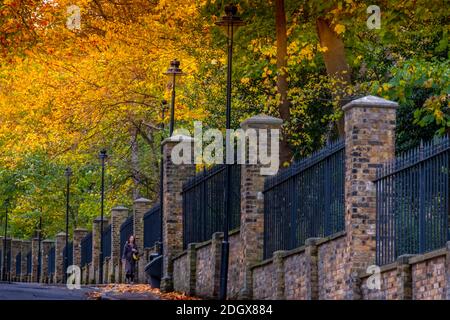 London, Highgate. Eine Frau, die auf einem Gehsteig in Highgate, neben Highgate Friedhof, Herbstfarben, Bäume Stockfoto