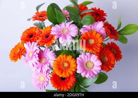 Bouquet von Gerberas. Rosa, Orange und Rote Gerbera auf weißem Hintergrund. Nahaufnahme. Stockfoto