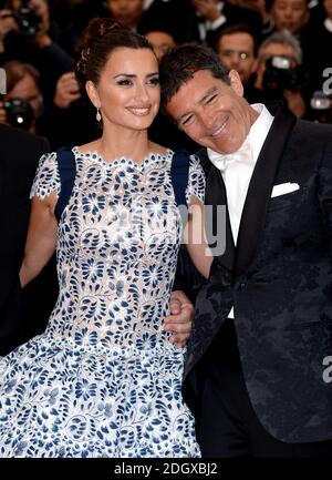 Penelope Cruz und Antonio Banderas bei der Premiere von Pain and Glory im Grand Theatre Lumiere während der 72. Filmfestspiele von Cannes Stockfoto