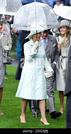 Die Herzogin von Cornwall schützt vor dem Regen während des zweiten Tages von Royal Ascot auf Ascot Racecourse. Bildnachweis sollte lauten: Doug Peters/EMPICS Stockfoto