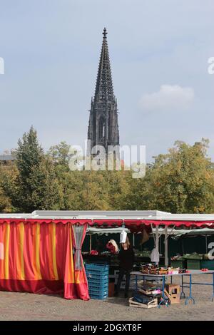 Münster, 9. September 2020: Vor dem mittelalterlichen St. Lambert-Dom findet ein Markt statt. Deutschland, Europa. Stockfoto