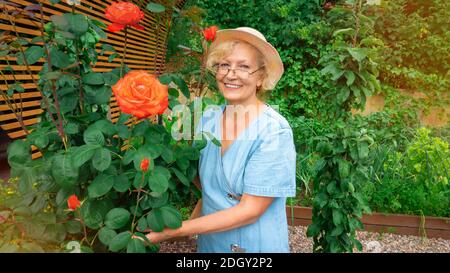 Eine hübsche, intelligente ältere Dame beschäftigt sich mit Gartenarbeit. Portrait einer Gärtnerin für ein Magazin über Landschaftsbau oder Gartenbau. Traditionelle ho Stockfoto