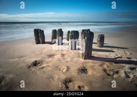 Alte Holzgroyne Stockfoto