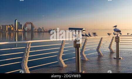 Möwen sitzen auf den Bordsteinen des Strandboulevards in Baku Stockfoto