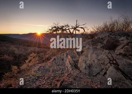 Sonnenuntergang in den bald Hills von Nordkalifornien Stockfoto