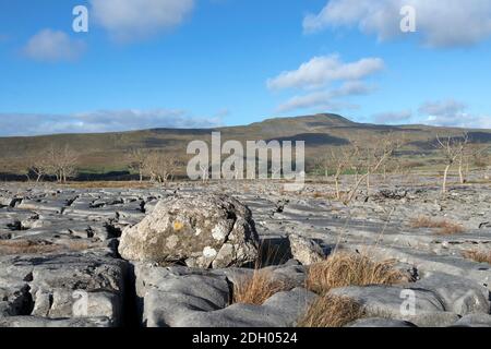 Erratic Boulder on Souther Scales fiel mit dem Blick in Richtung Whernside, Inglborough, Yorkshire Dales, Großbritannien Stockfoto