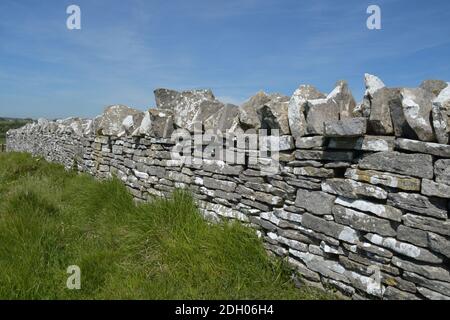 Trockensteinmauer mit senkrechten Decksteinen auf der Isle of Purbeck, Dorset. Raue Kalksteinwände trennen Küstenfelder.Alte Steine angegeben Stockfoto