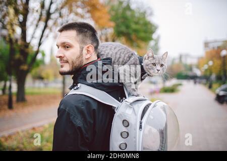 Portrait von groß junge kaukasischen glücklichen Mann im Freien spielen mit grau lustig gut aussehend Kätzchen sitzt auf dem Rücken auf transparente Katze Rucksack Träger Tasche, Stockfoto