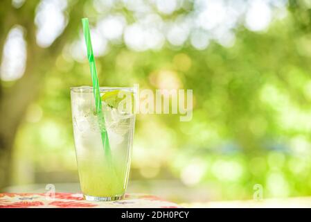 Hausgemachte Limonade mit frischen Zitronen und Minze. Ein Glas Limonade vor einem Hintergrund von grünem Laub mit schönem Bokeh. Stockfoto