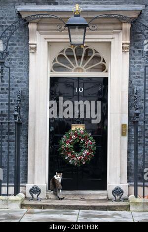 Larry, die Downing Street Katze und Chief mouser in die Schatzkammer, sitzt an der Tür der Nummer 10, die mit einem großen Weihnachtskranz geschmückt ist. Stockfoto