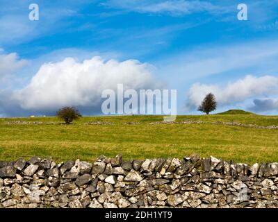 Isolierte Baum- und Trockensteinmauer auf Longstone Edge bei Bakewell Im Peak District National Park Derbyshire England Stockfoto