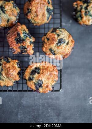 Hausgemachte Blaubeer-Muffins auf dunklem Hintergrund. Stockfoto