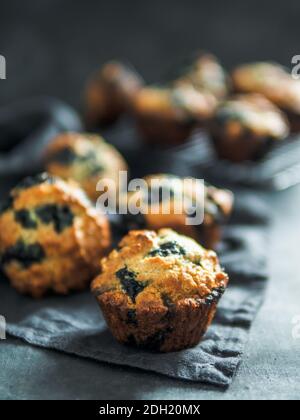Hausgemachte Blaubeer-Muffins auf dunklem Hintergrund. Stockfoto