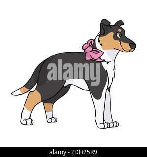 Hand gezeichnet niedlichen glatten Collie mit rosa Bogen Hund Vektor Illustration. Reinrassige Stammbaum Hund Haushund auf Pfote Clipart. Hund Liebhaber Spielzeug Spaniel Haustier Stock Vektor