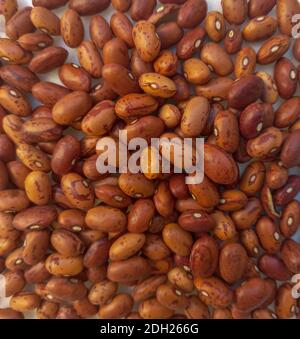 Ein Hintergrund aus rot gefleckten Bohnen für traditionelle italienische Minestrone Suppe. Quelle für Protein und Ballaststoffe. Overhead-Aufnahme. Stockfoto