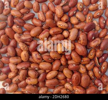 Ein Hintergrund aus rot gefleckten Bohnen für traditionelle italienische Minestrone Suppe. Quelle für Protein und Ballaststoffe. Overhead-Aufnahme. Stockfoto