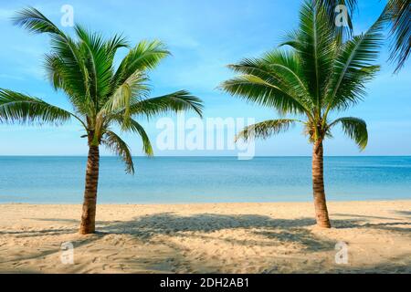 Sandstrand mit Kokospalme und blauen Himmel. Tropische Landschaft . Sommerferien . Stockfoto