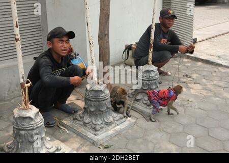 Ausgebildete Makaken und ihre Besitzer ruhen an ihrem Arbeitsplatz an einer belebten Kreuzung in Surakarta in Zentral-Java, Indonesien. Straßenaufführungen mit wilden Affen, die als Topeng Monyet ('masster Affe' oder 'tanzender Affe') bekannt sind, sind in Indonesien trotz der Proteste von Tierrechtsaktivisten immer noch sehr beliebt. Rechts sind gelernter Makaken namens Undun und sein 17-jähriger Besitzer Latif abgebildet. Langschwanzmakaken (Macaca fascicularis) werden normalerweise für diese grausame Praxis verwendet. Stockfoto