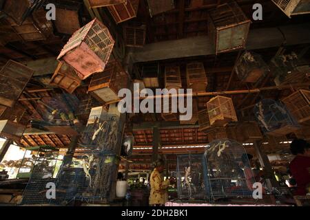 Am Vogelmarkt in Yogyakarta in Zentraljava, Indonesien, kommen Menschen an den Käfigen mit Eidechsen und Vögeln vorbei. Stockfoto