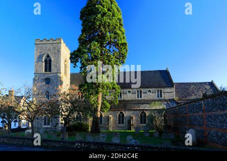 All Saints Church, Newmarket Town, Suffolk, England, Großbritannien Stockfoto