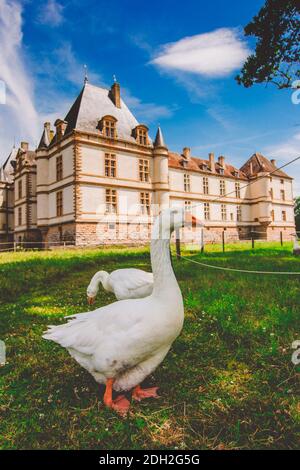 Juli 19, 2017. Dorf Cormatin Frankreich Burgund Region im Sommer. Museum alte Burg, Festung CH teau de Cormatin in sonnigen Wetter Stockfoto