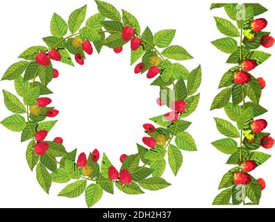 Nahtlose Grenze und Kranz mit reifen Himbeeren und Blättern. Vektorgrafik Stock Vektor