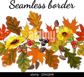 Nahtlose Herbstgrenze mit Blumen, Beeren, Nüssen, Blättern. Stock Vektor