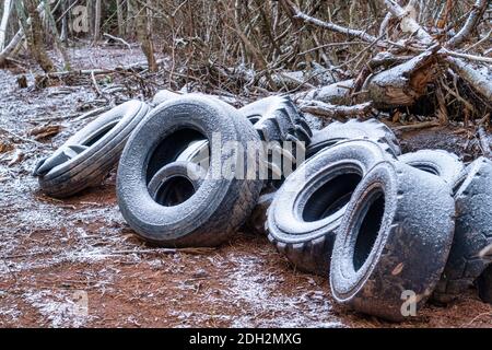 Alte Traktorreifen im Wald abgeladen. Stockfoto