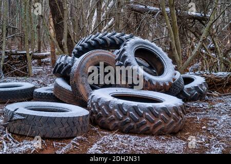 Alte Traktorreifen im Wald abgeladen. Stockfoto