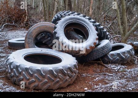 Alte Traktorreifen im Wald abgeladen. Stockfoto