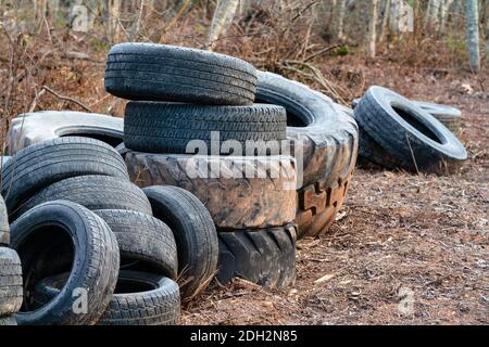 Alte Traktorreifen im Wald abgeladen. Stockfoto