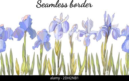 Florales Nahtmuster mit Iris isolieren auf Weiß. Stock Vektor