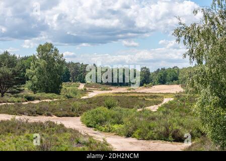 Wahner Heath Stockfoto