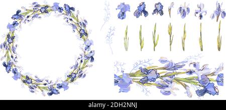 Set aus Blumenschablone, Nahtloses Muster und Iris auf Weiß isoliert. Für die Gestaltung von Geschenkboxen, Ankündigungen, Postkarten, Plakaten, Einladungen Stock Vektor