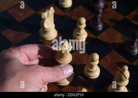 Schachfiguren auf einem hölzernen Schachbrett Stockfoto