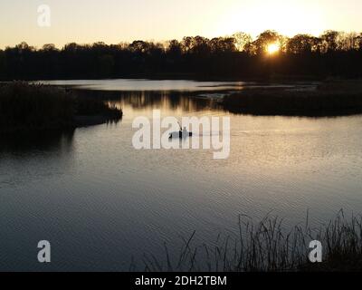 Solitude of Rouge Park in the evening sunset Stock Photo