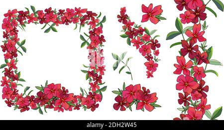 Vektor Blume romantische Set. Handgezeichnete Abbildung. Blumenrahmen und nahtlose Bürste. Stock Vektor