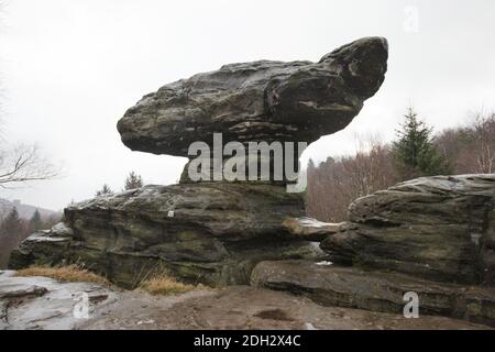 Steinpilz in den Grossen Tisa Felsen (Velké Tiské stěny) in der Böhmischen Schweiz (České Švýcarsko) in Nordböhmen, Tschechien. Stockfoto